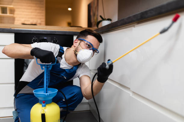 Best Emergency Pest Control  in Manton, MI