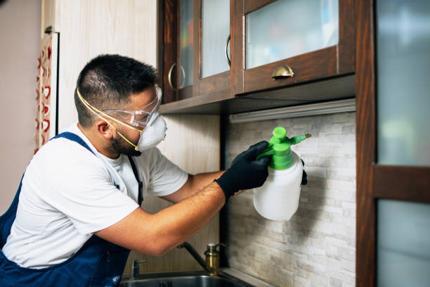  Manton, MI Pest Control Pros