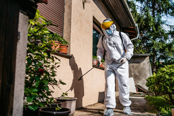 Best Spider Control Near Me  in Manton, MI