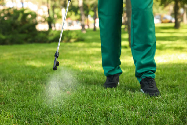 Wildlife Control Services in Manton, MI