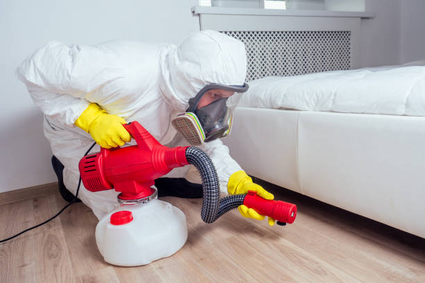 Best Mosquito Control Services  in Manton, MI