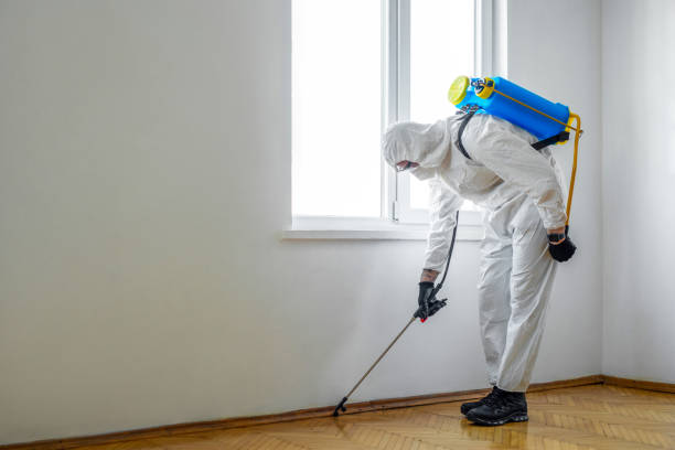 Best Ant Control Services  in Manton, MI
