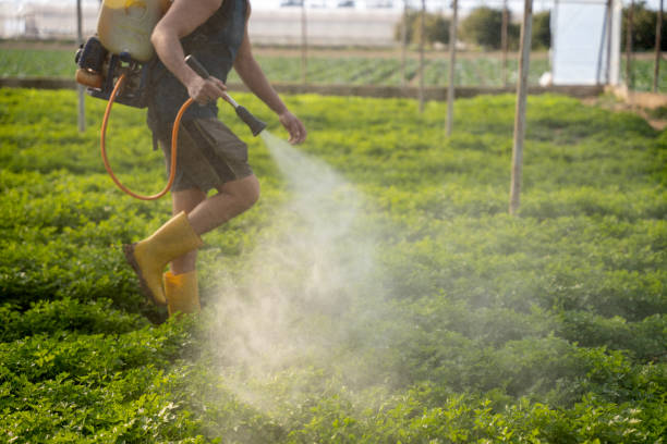 Pest Control Cost in Manton, MI