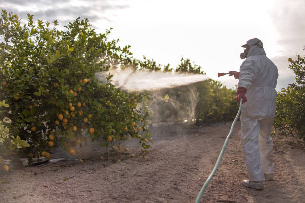 Best Pest Removal Services  in Manton, MI