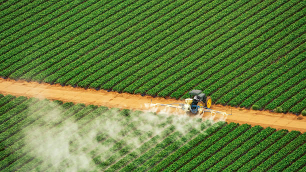 Best Best Pest Control Companies  in Manton, MI