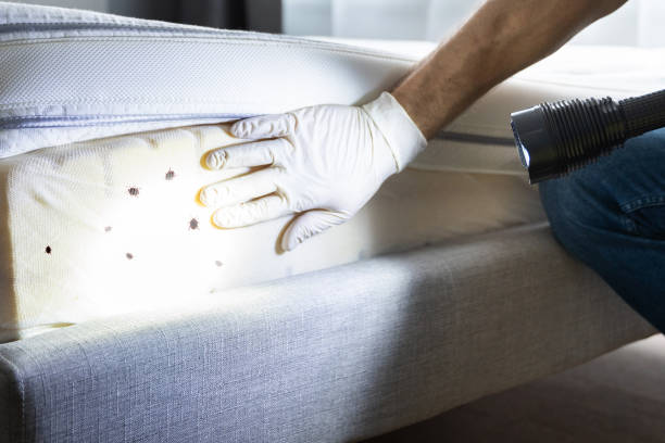 Best Best Pest Control Companies  in Manton, MI