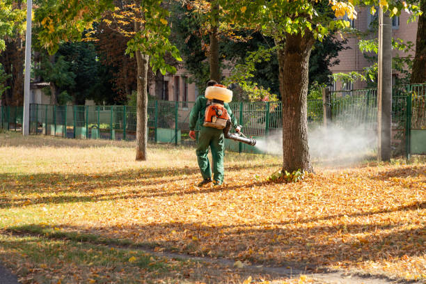 Best Affordable Exterminators  in Manton, MI