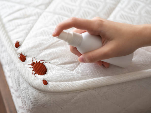 Manton, MI Pest Control Company