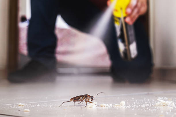 Best Flea Control Services  in Manton, MI