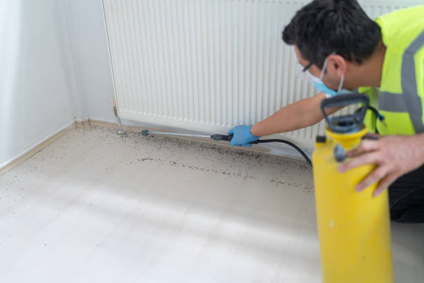 Best Local Pest Control Services  in Manton, MI